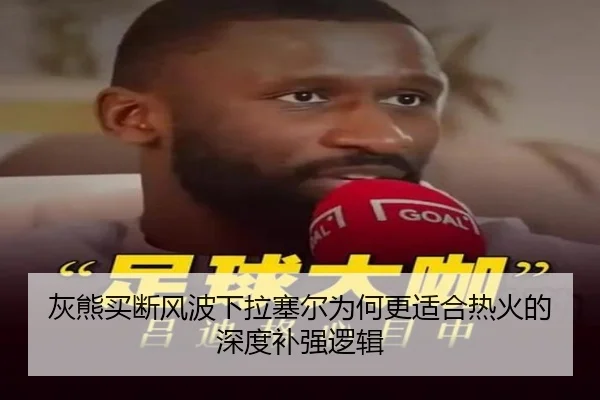 灰熊买断风波下拉塞尔为何更适合热火的深度补强逻辑